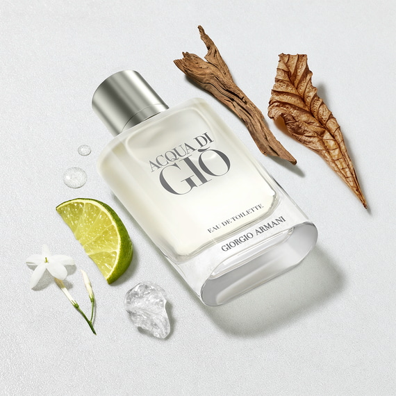 Acqua Di Gio Eau de Toilette Set