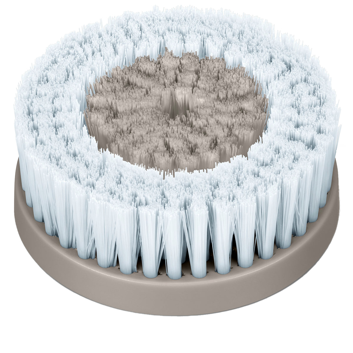 Facial Brush FC 59