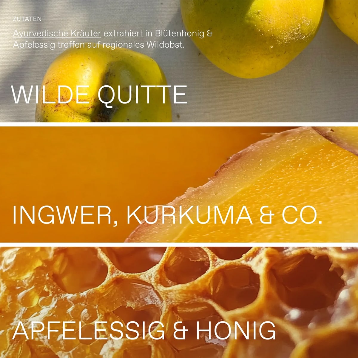 Ayurveda Wildkräuter-Shot