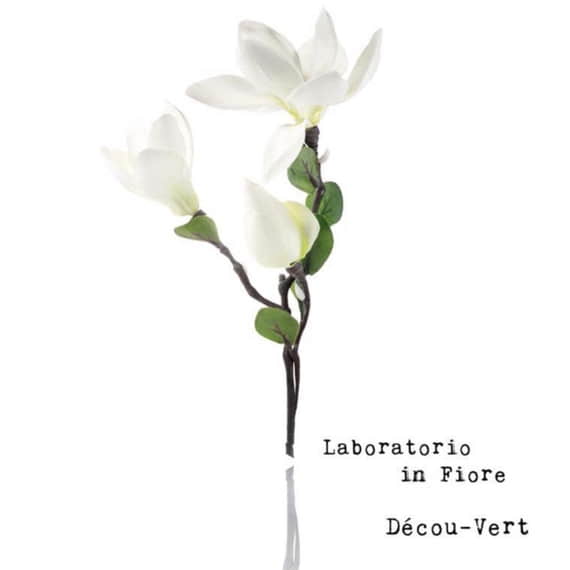 Décou-Vert Eau de Parfum 