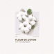 Eau de Parfum Coton
