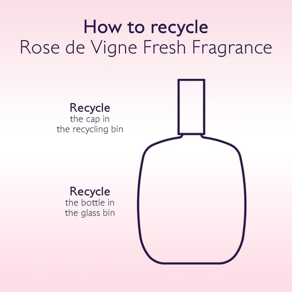 Fresh Fragrance