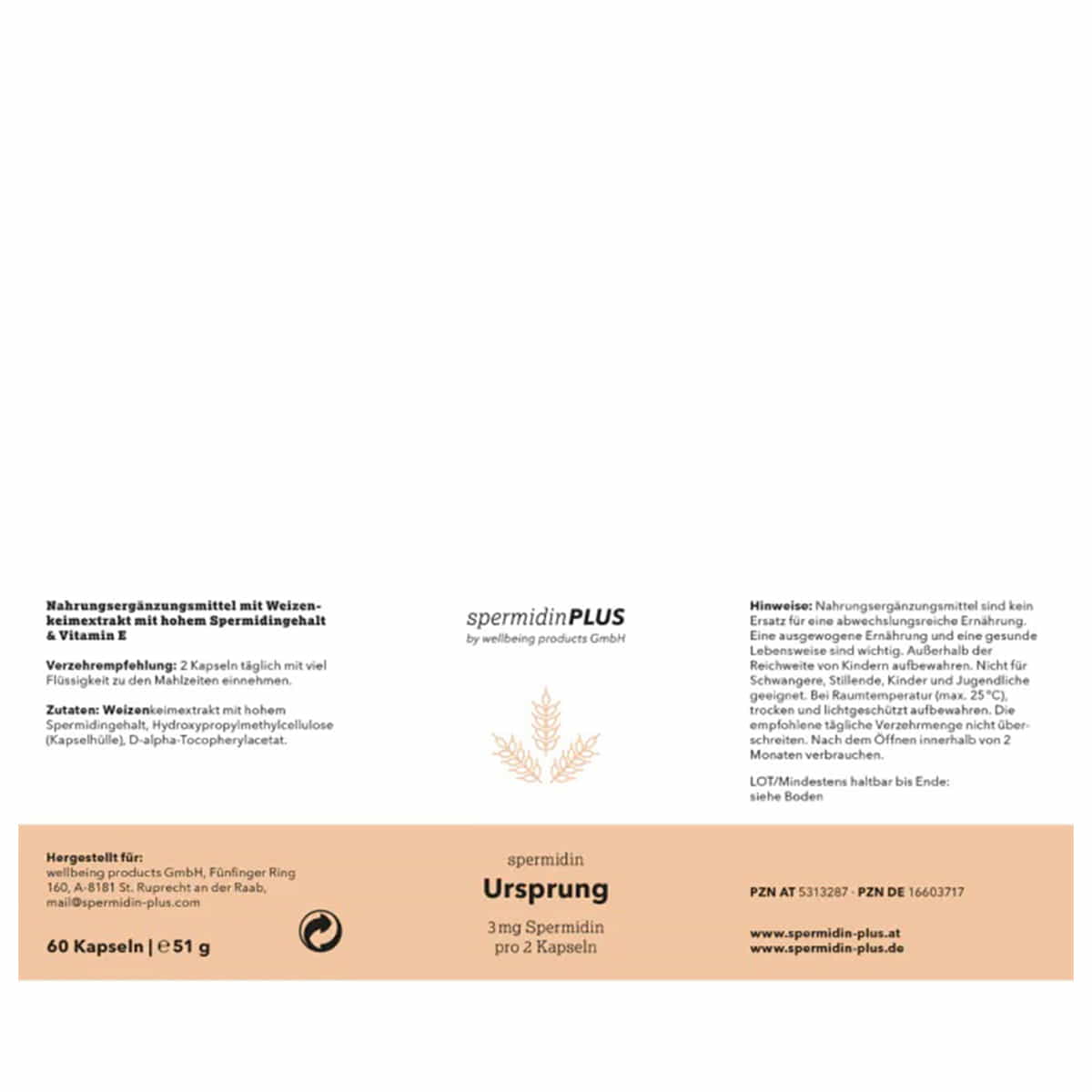 Spermidin Ursprung