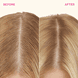 Perk Up Plus Extended Clean Dry Shampoo