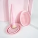 Silicone Makeup Brush Cleaning Bowl