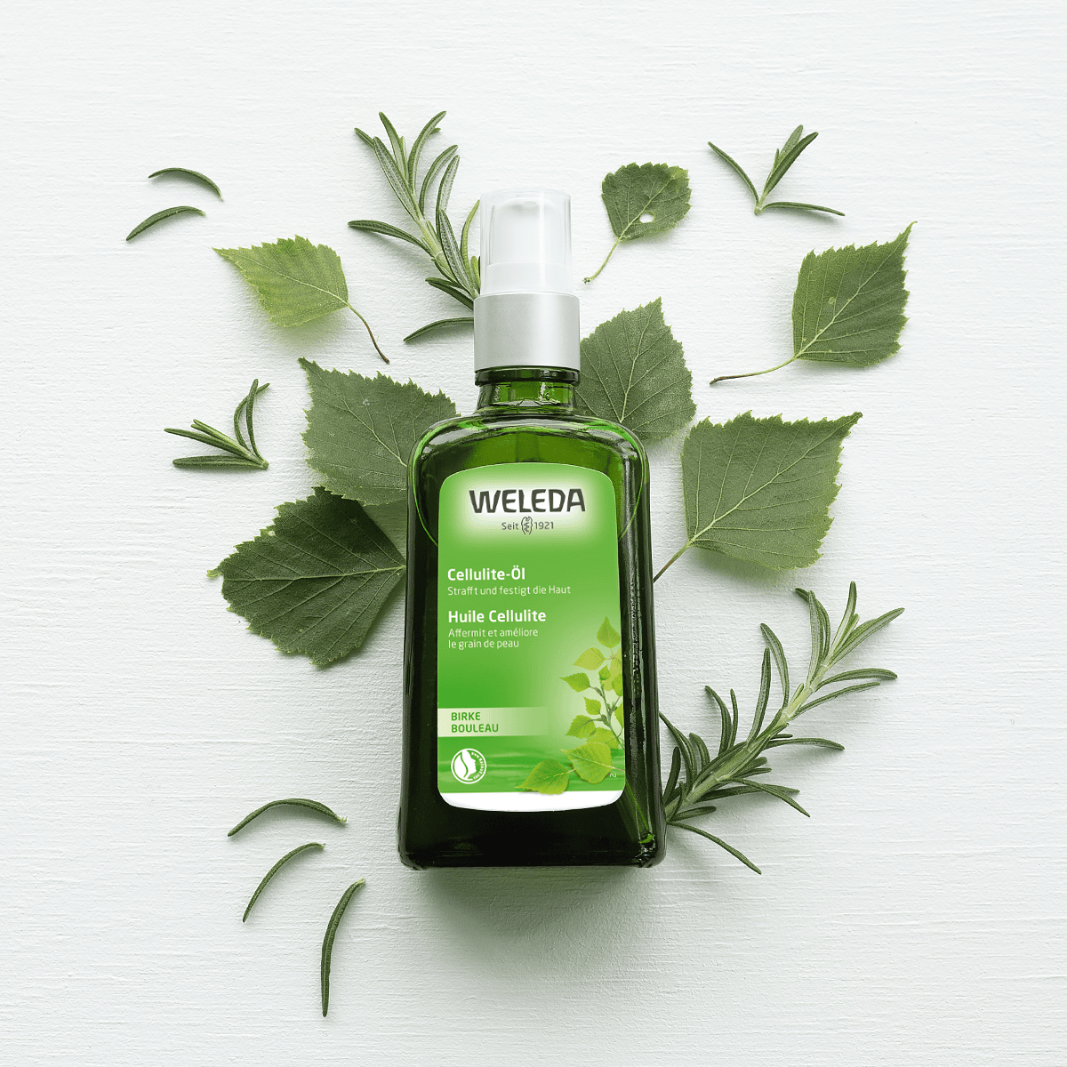 Bouleau Huile Cellulite