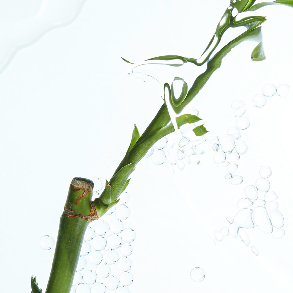 Shampooing Volume Merveille