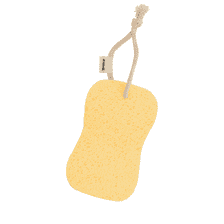 Cellulose Sponge