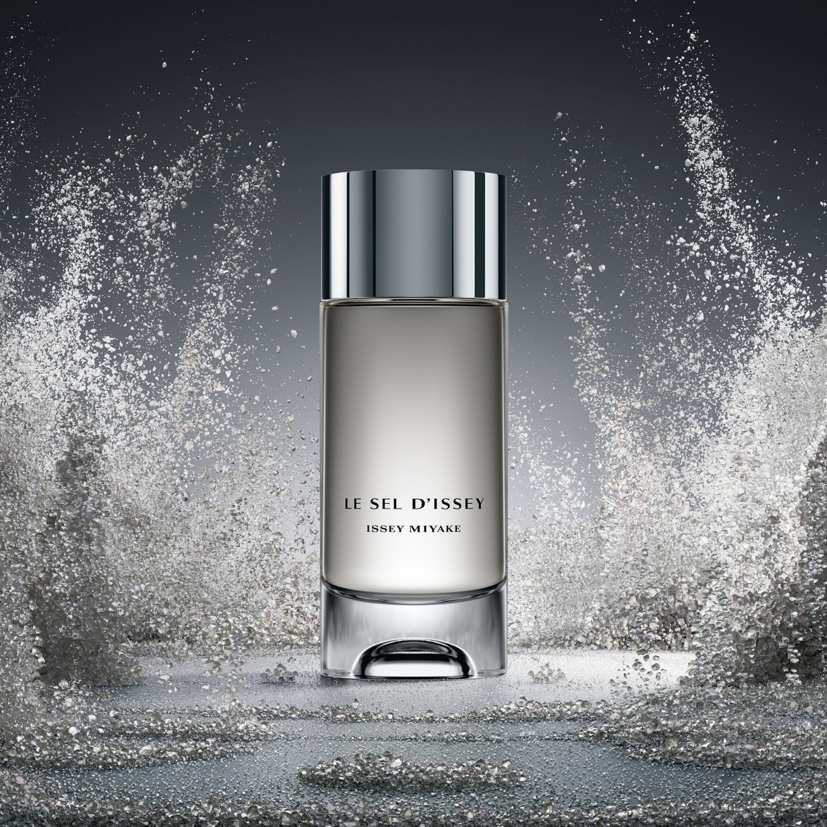 Le Sel d'Issey Eau de Toilette