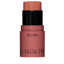 All In One Blush 42
