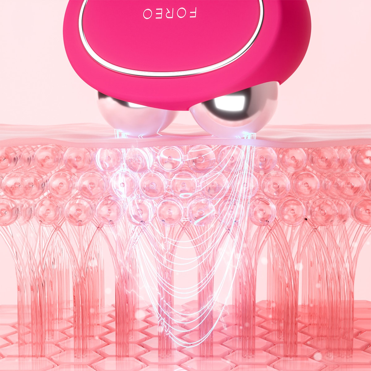 BEAR 2 Fuchsia