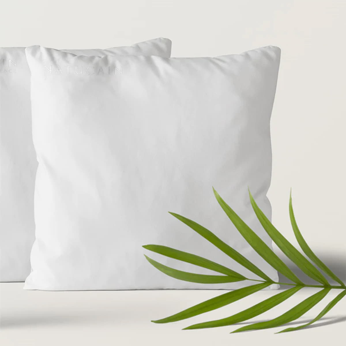 Pillow Case