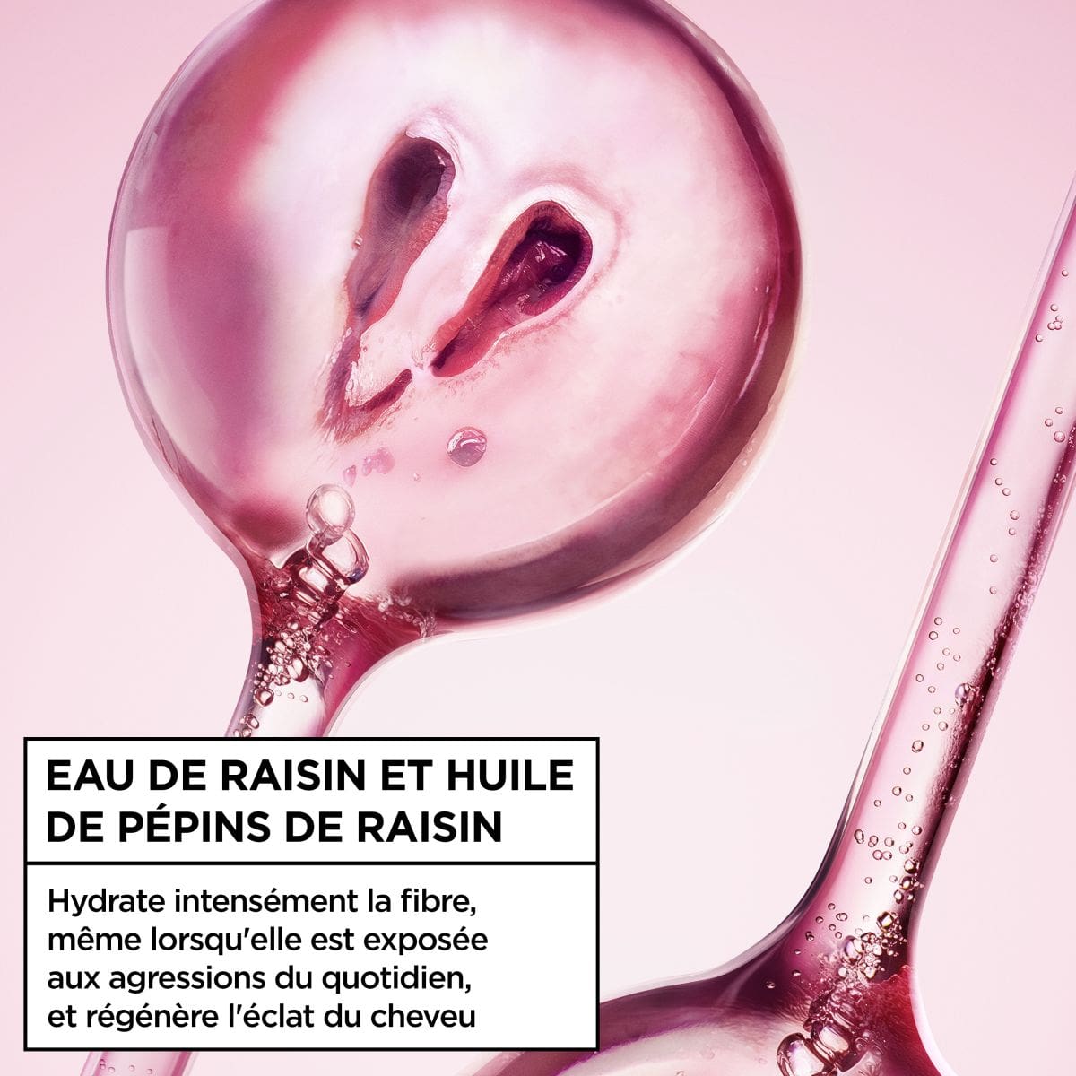 Vigne Merveilleuse Mask