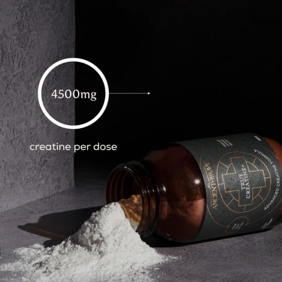 True Creatine+ Jar