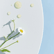 Sensitive Waschgel