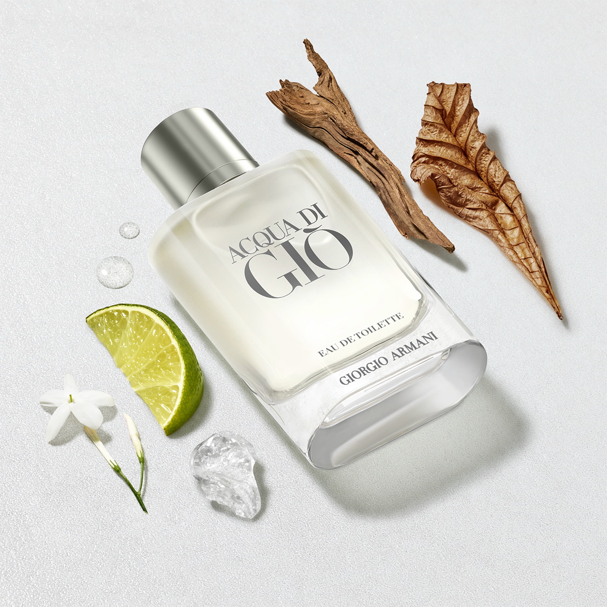 Acqua Di Gio Eau de Toilette Set