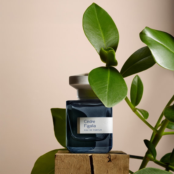 Cèdre Figalia Eau de Parfum