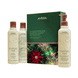 Invigorating Awe: Rosemary Mint Hair & Body Essentials