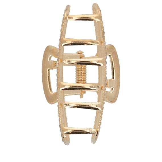 Pince Avec Strass - Dorée