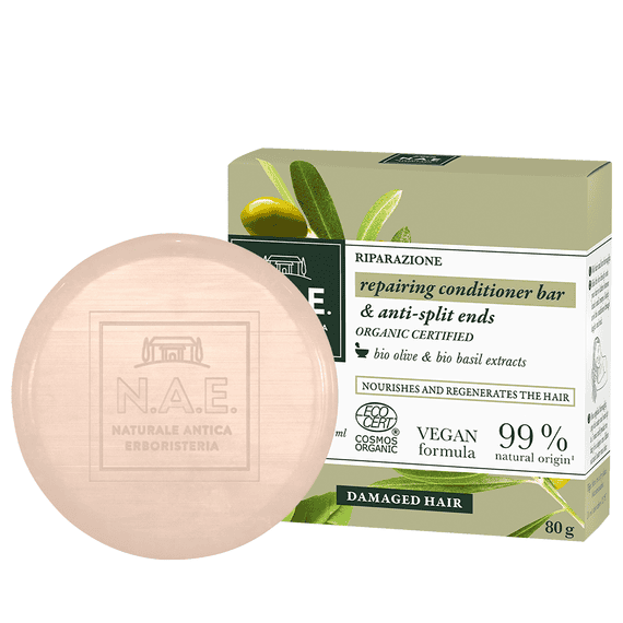Riparazione Reparierendes Festes Shampoo