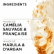 L'Huile Originale Refill