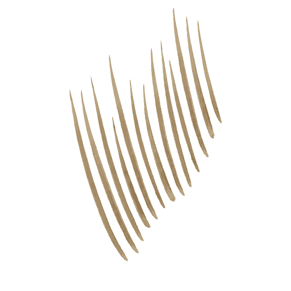Build A Brow