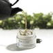 White Tea Miracle Anti-Age Cream