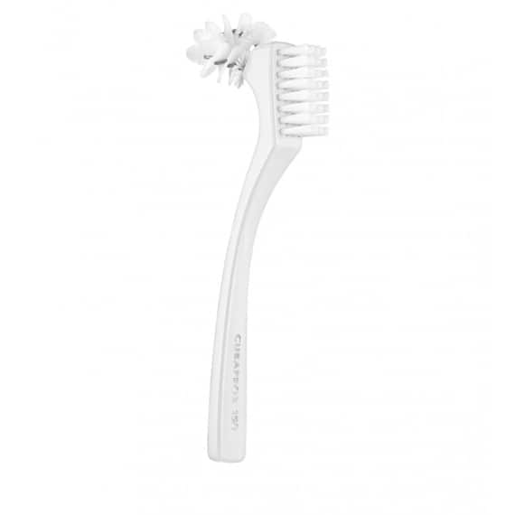 BDC Brosse pour prothèses dentaires