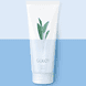 Body Wash