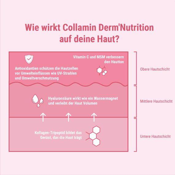 Derm'Nutrition Collagen