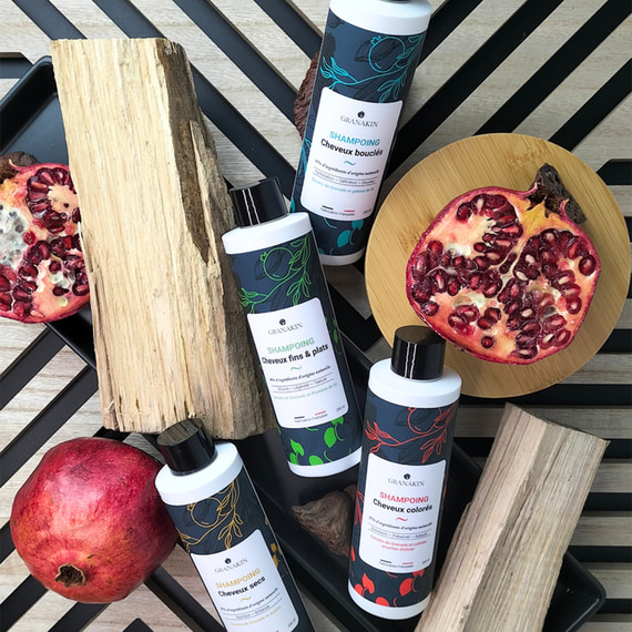 Shampoing cheveux secs