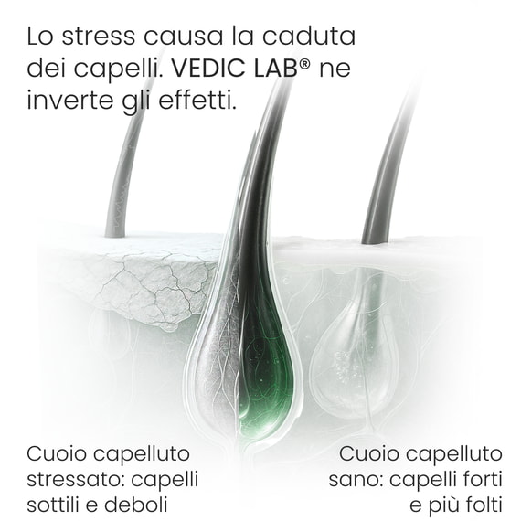 Elisir da giorno per il cuoio capelluto con UVA e UVB