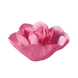 Rose Finishing Oil