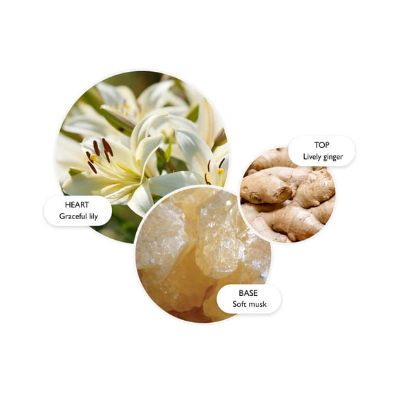 Hand Lotion