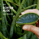 Feuchtigkeit Aloe Vera Shampoo