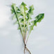 Bitter Wild Herb Extract