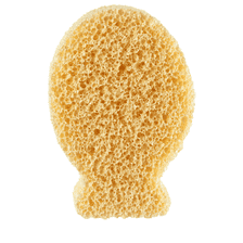 Silver Ion Sponge Fish