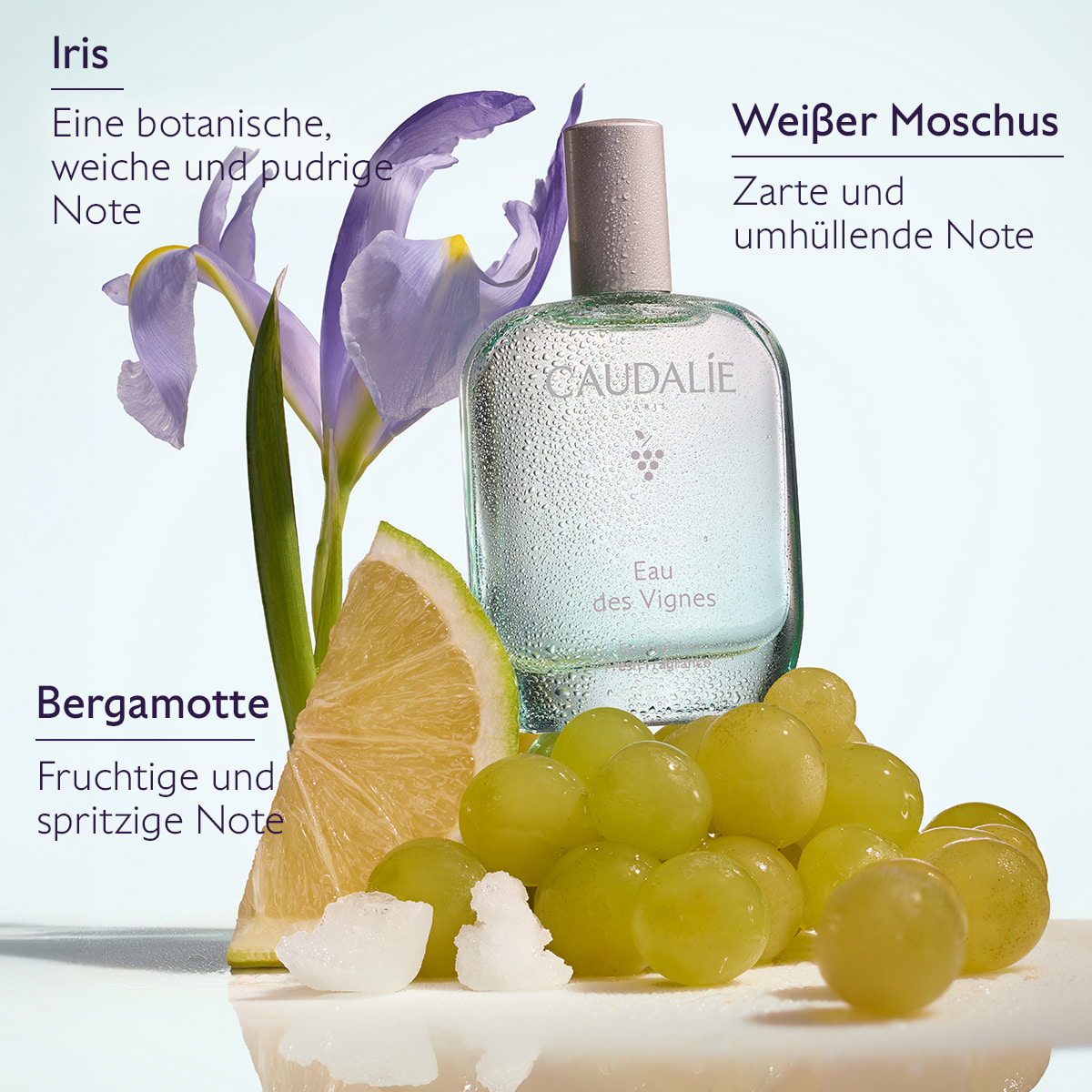 Eau Fraîche