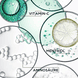 Bain Divalent (Shampoo)