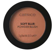 Soft Blur Powder Blush - 050 Born To Blonze