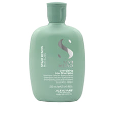 Energizing Low Shampoo