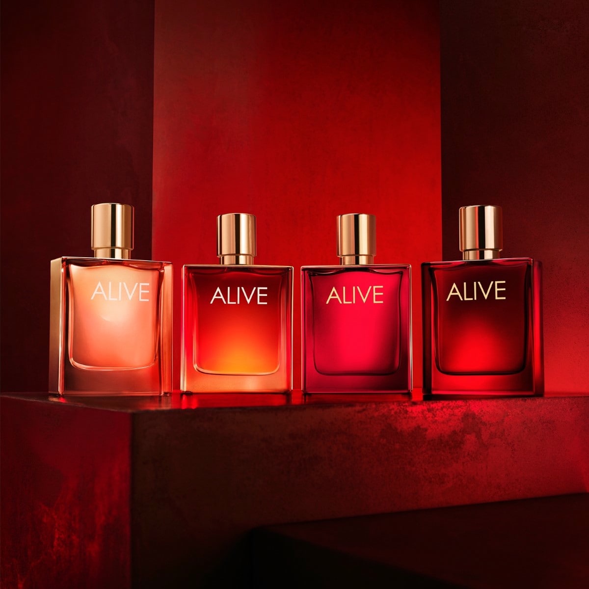 Absolu Parfum Intense