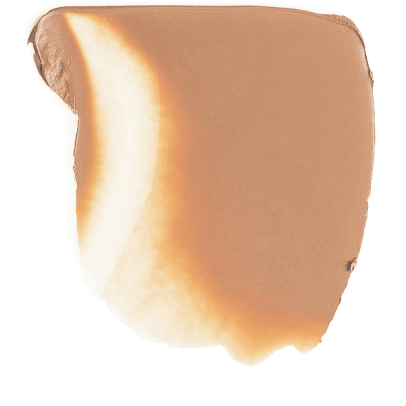 Skin Foundation Cushion Compact