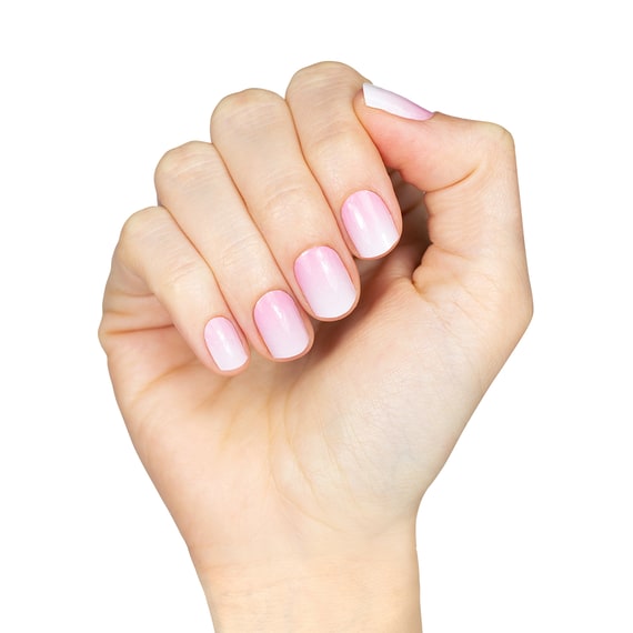 Rose Babyboomer UV
