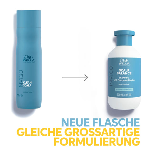 Clean Shampoo
