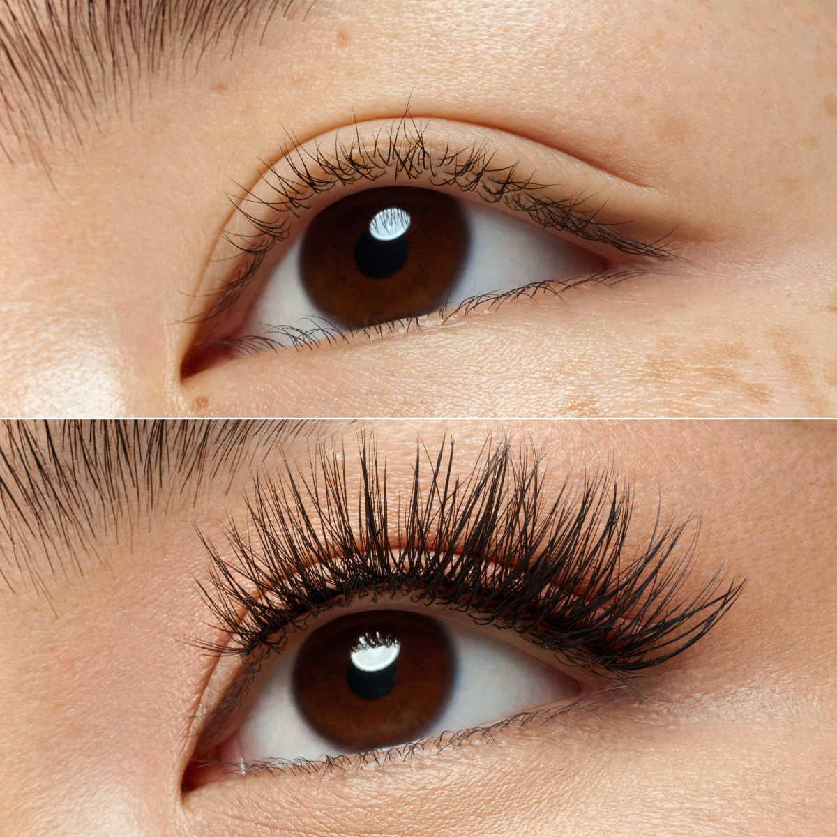 What The Fake! False Lashes - 02 Dramatic Curl