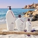 Seacurl Shampoo