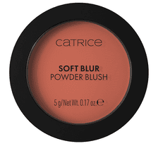 Soft Blur Powder Blush - 030 Cinnamon Sugar