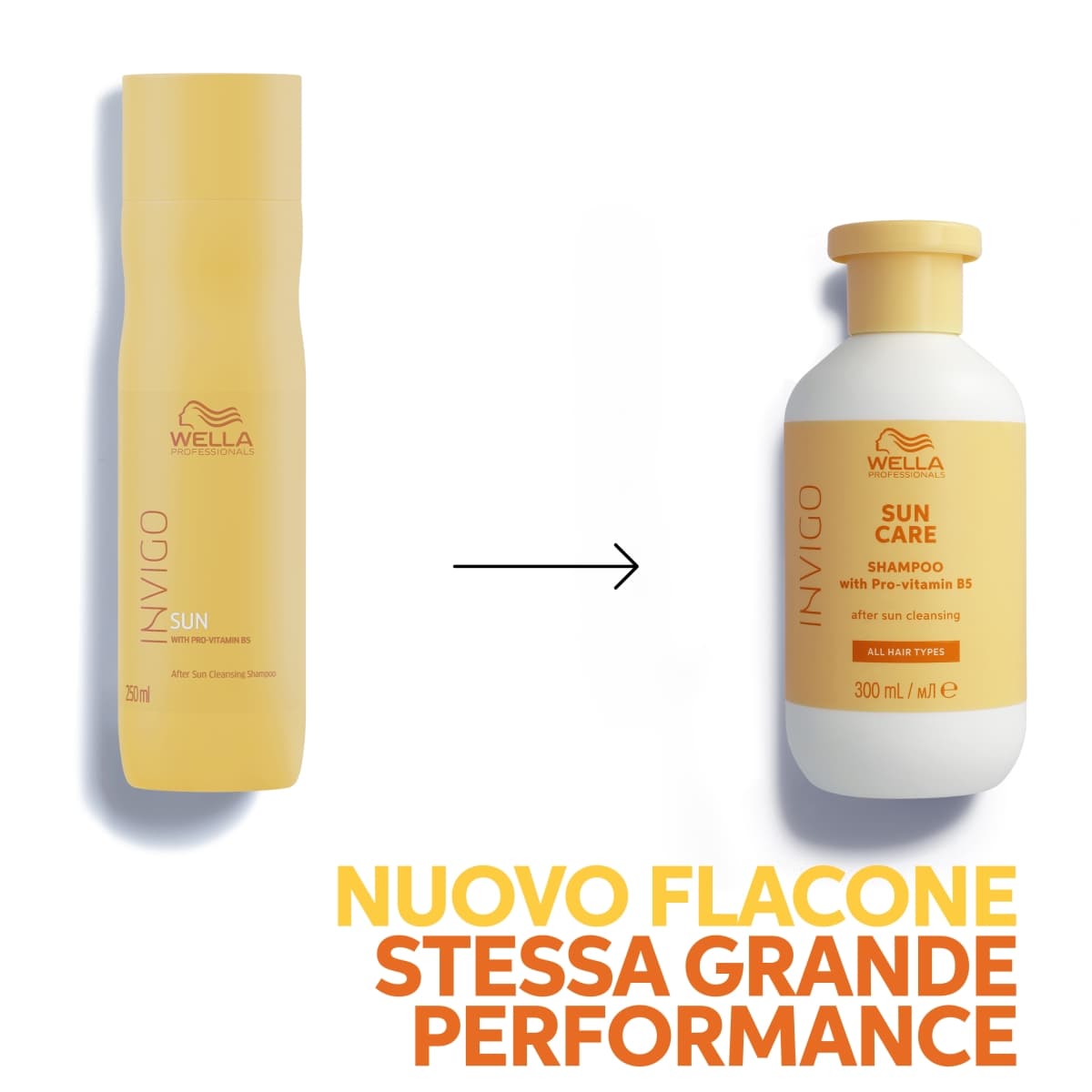 Care Shampoo