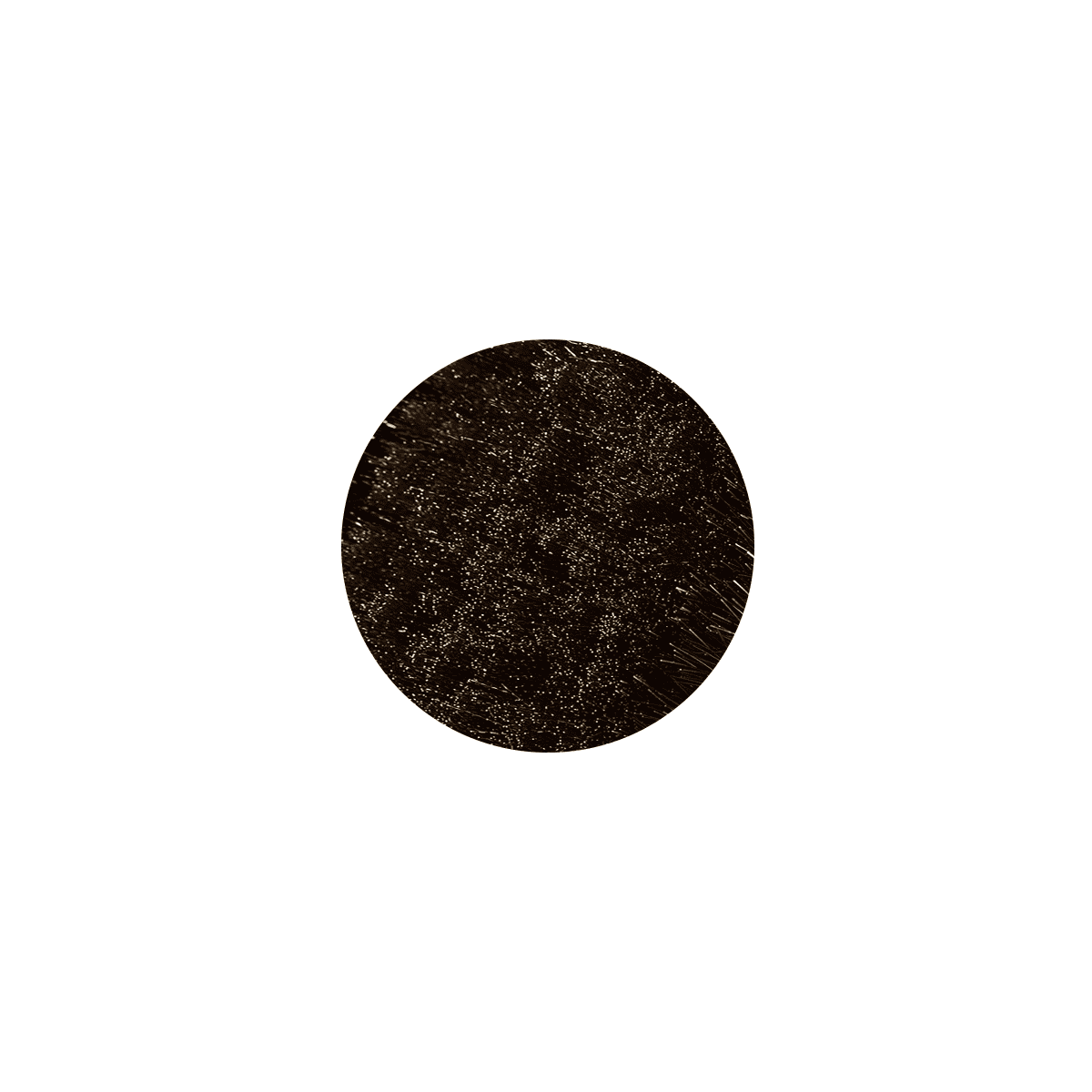 Ionic Dry Body Brush